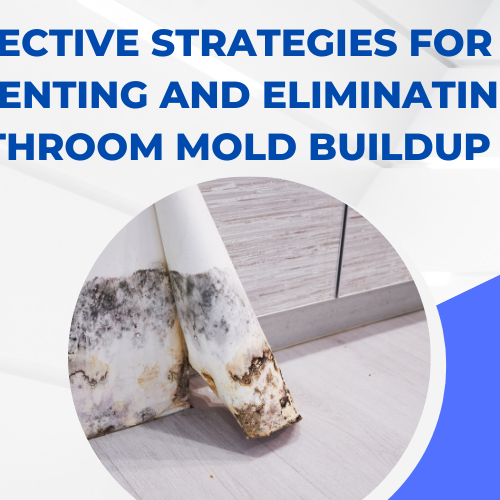 Effective Strategies for Preventing and Eliminating Bathroom Mold Buildup