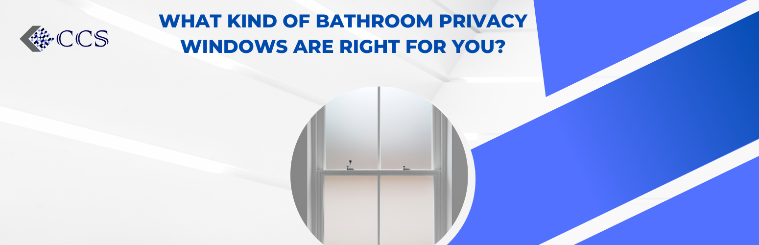 What Kind of Bathroom Privacy Windows are Right for You