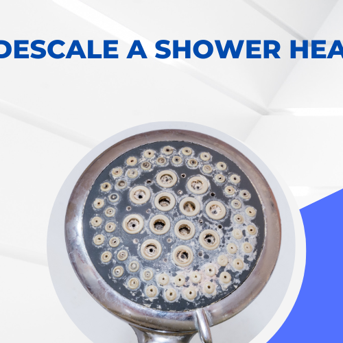 How to Descale a Shower Head