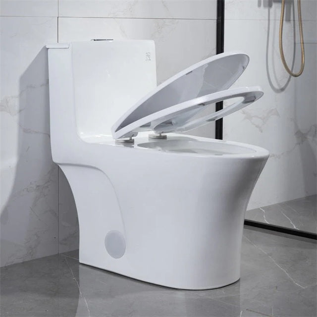 AQUA- 10016 White Dual-Flush Siphonic One-Piece Toilet ** PICK UP IN STORE ONLY**