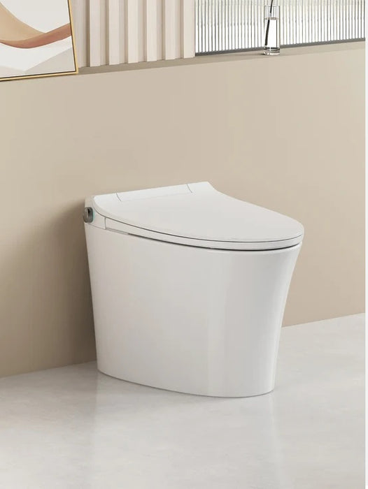 ECOWAY -Neo Pure Smart Toilet