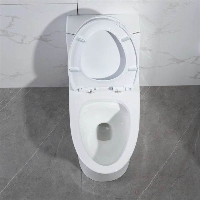 AQUA- 10016 White Dual-Flush Siphonic One-Piece Toilet ** PICK UP IN STORE ONLY**