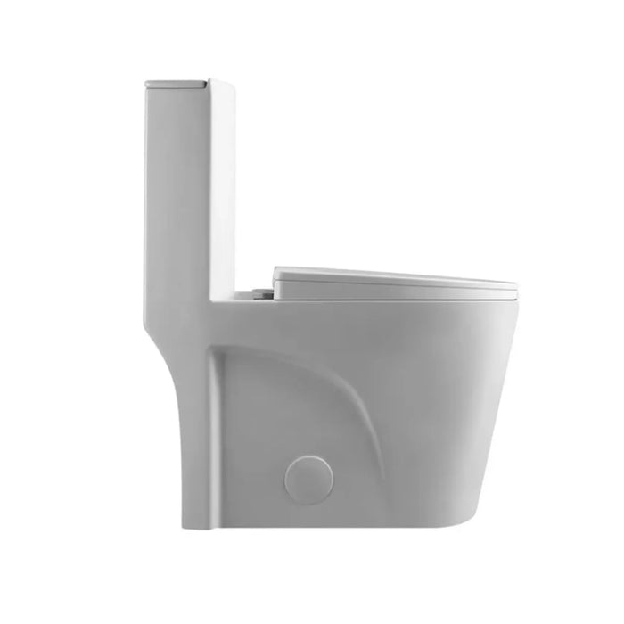 AQUA- 10014Siphonic One-Piece Toilet with Dual-Flush, North American Standard ** PICK UP IN STORE ONLY**