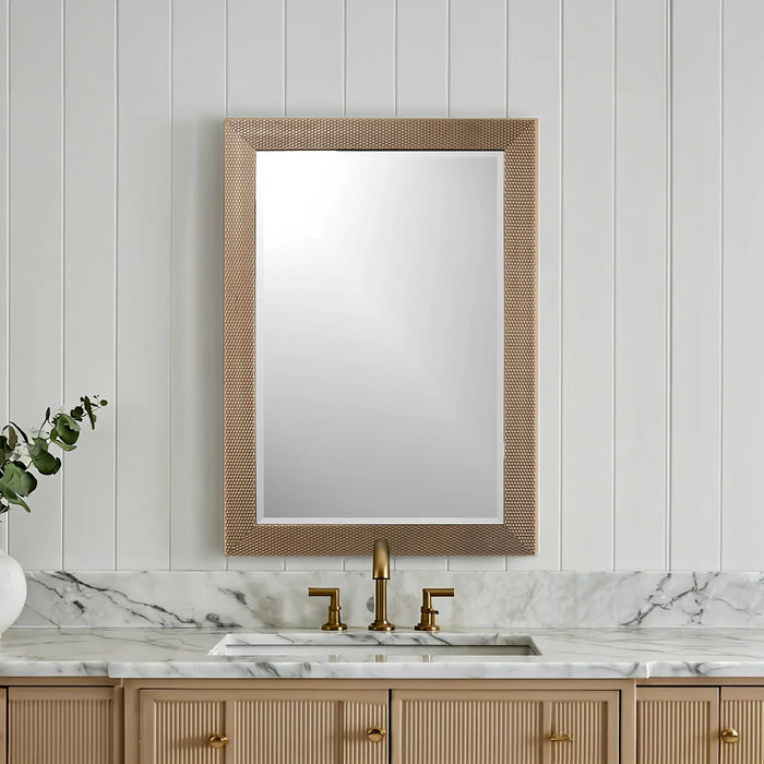 29" x 41" MAX MIRROR