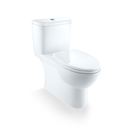 Caroma-Sydney Smart II One Piece Dual-flush Toilet with top Buttons