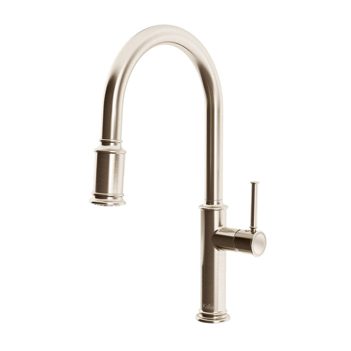 Kalia-OKASION PULL-DOWN KITCHEN FAUCET WITH SPRAY HEAD - STAINLESS STEEL